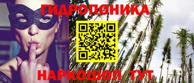дмт Аргун