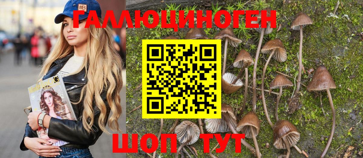 Псилоцибиновые грибы прущие грибы  Псилоцибиновые грибы Psilocybine cubensis  Вход с VPN  Богородск 
