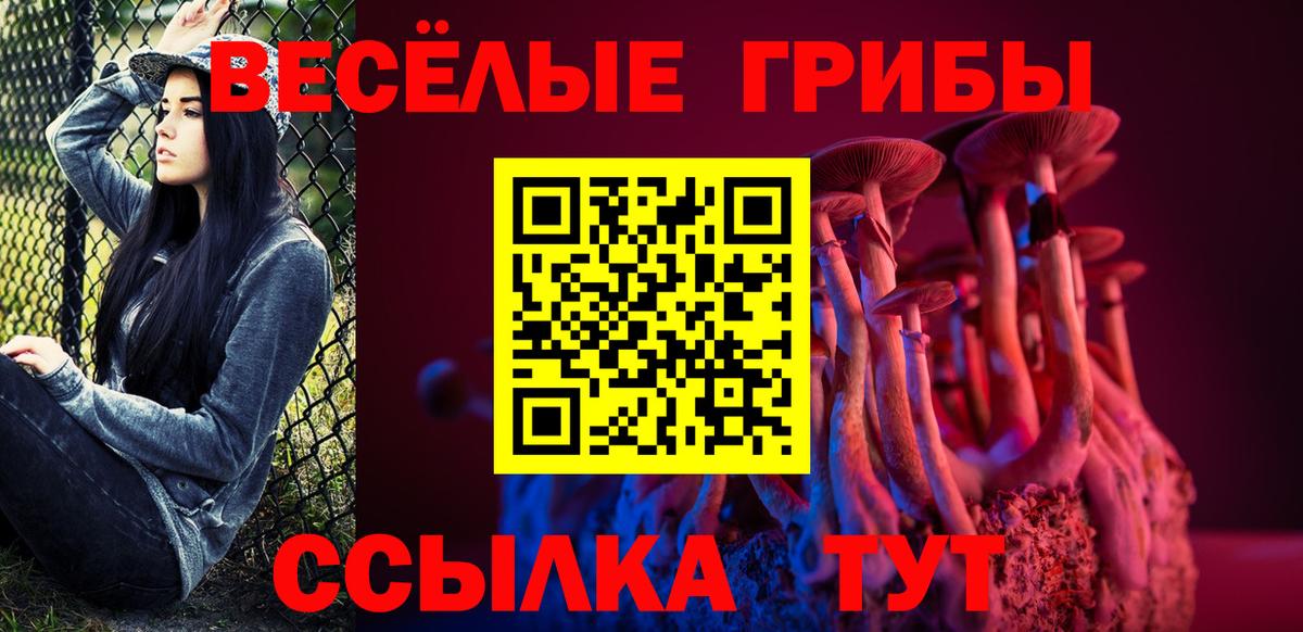 Псилоцибиновые грибы мухоморы Богородск